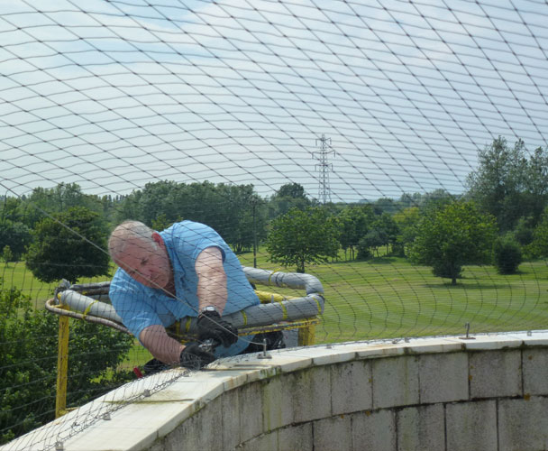 Bird control services by SWAT Pest Control Ltd. Bird control services by SWAT Pest Control Ltd