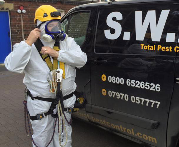 Bird Dropping Removal by SWAT Pest Control Ltd