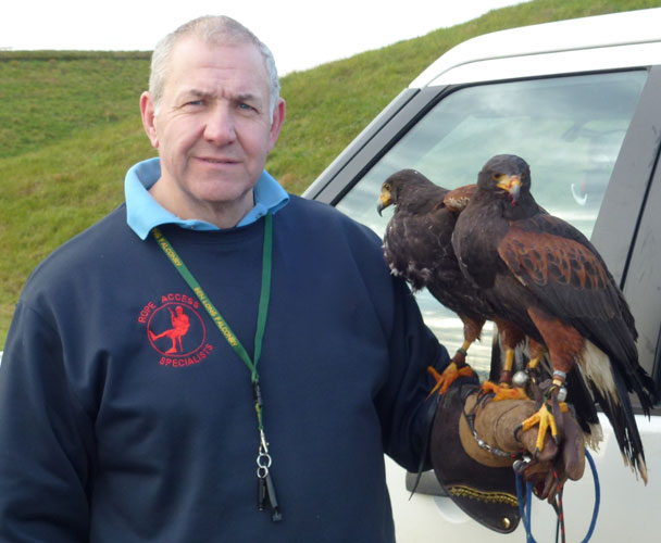 Falconry services by SWAT Pest Control Ltd. Falconry services by SWAT Pest Control Ltd