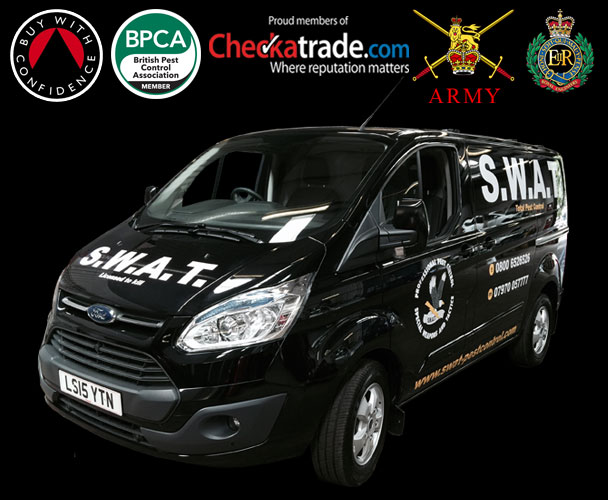 SWAT Pest Control Ltd