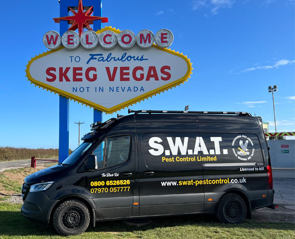 SWAT Pest Control Ltd. SWAT Pest Control Ltd.