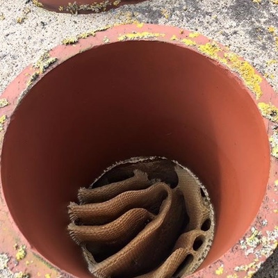 Bees nest in chimney