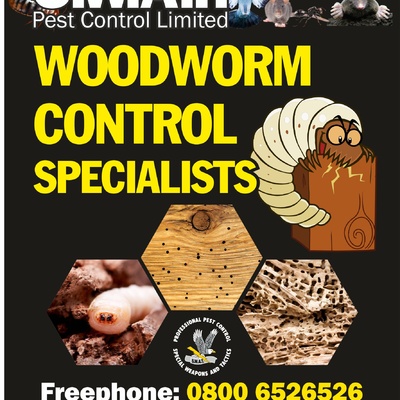 Woodworm Treatment's