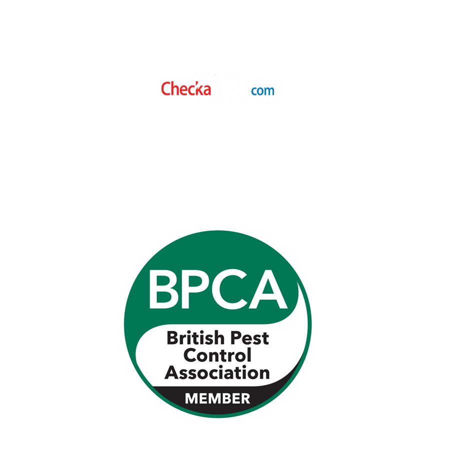 Residential pest control by SWAT Pest Control Ltd.