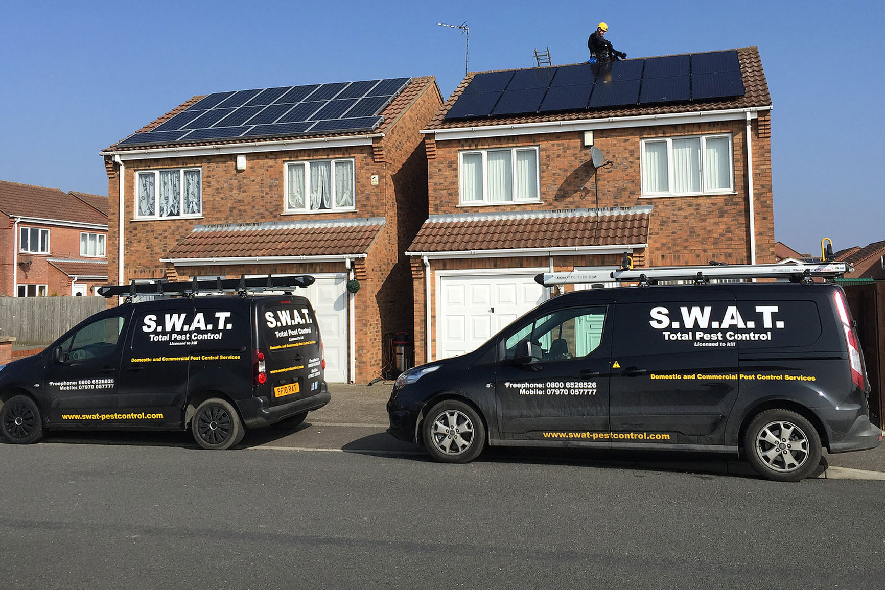 Residential pest control by SWAT Pest Control Ltd.