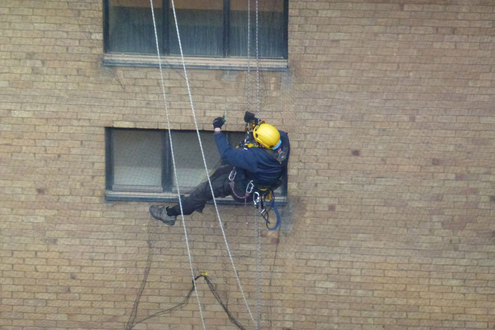 Rope access specialists pest control by SWAT Pest Control Ltd.